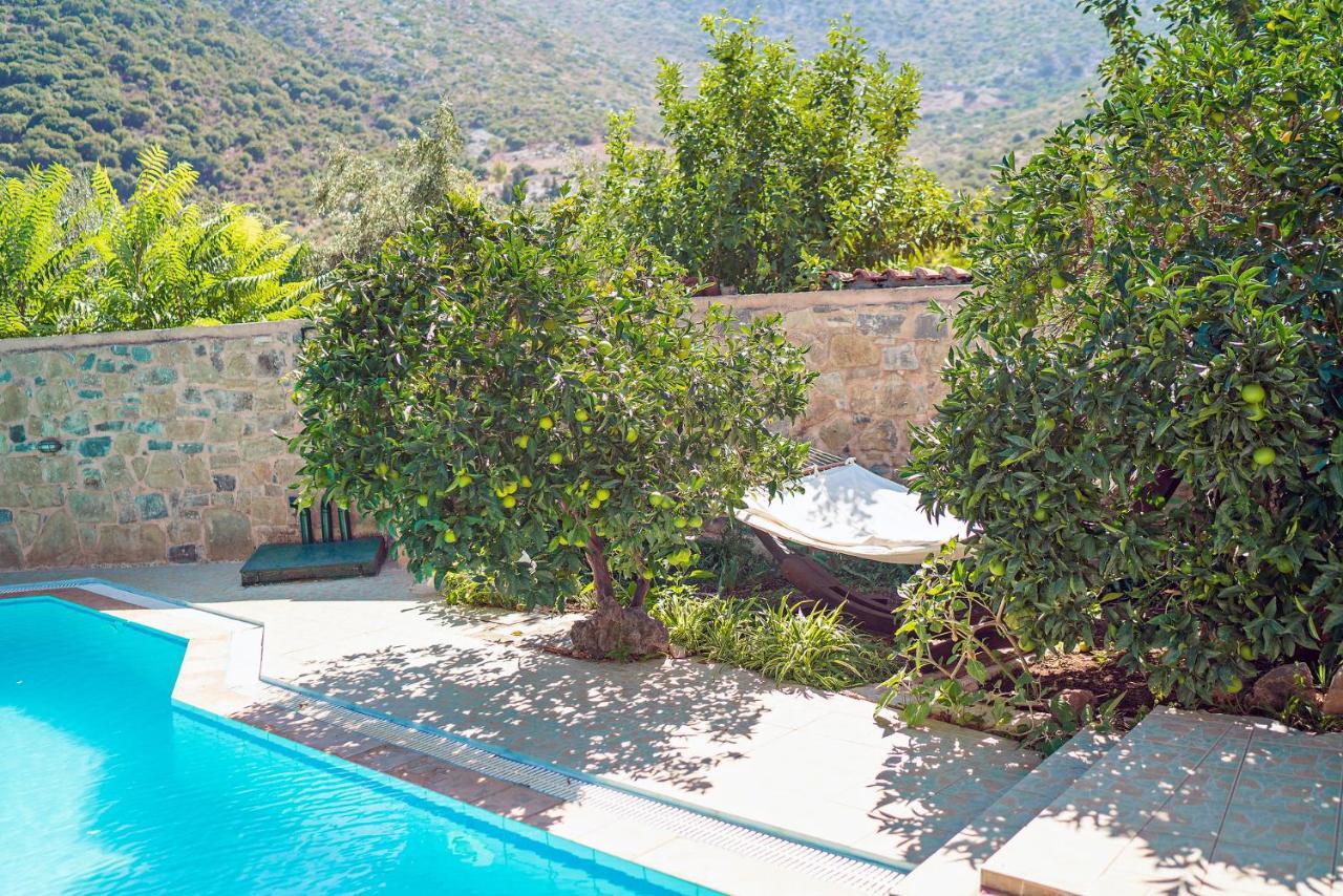 Villa Aleva Bali (Crete) Exterior foto